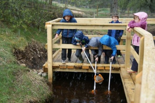 BSW Provides Primary School With New Pond Platform