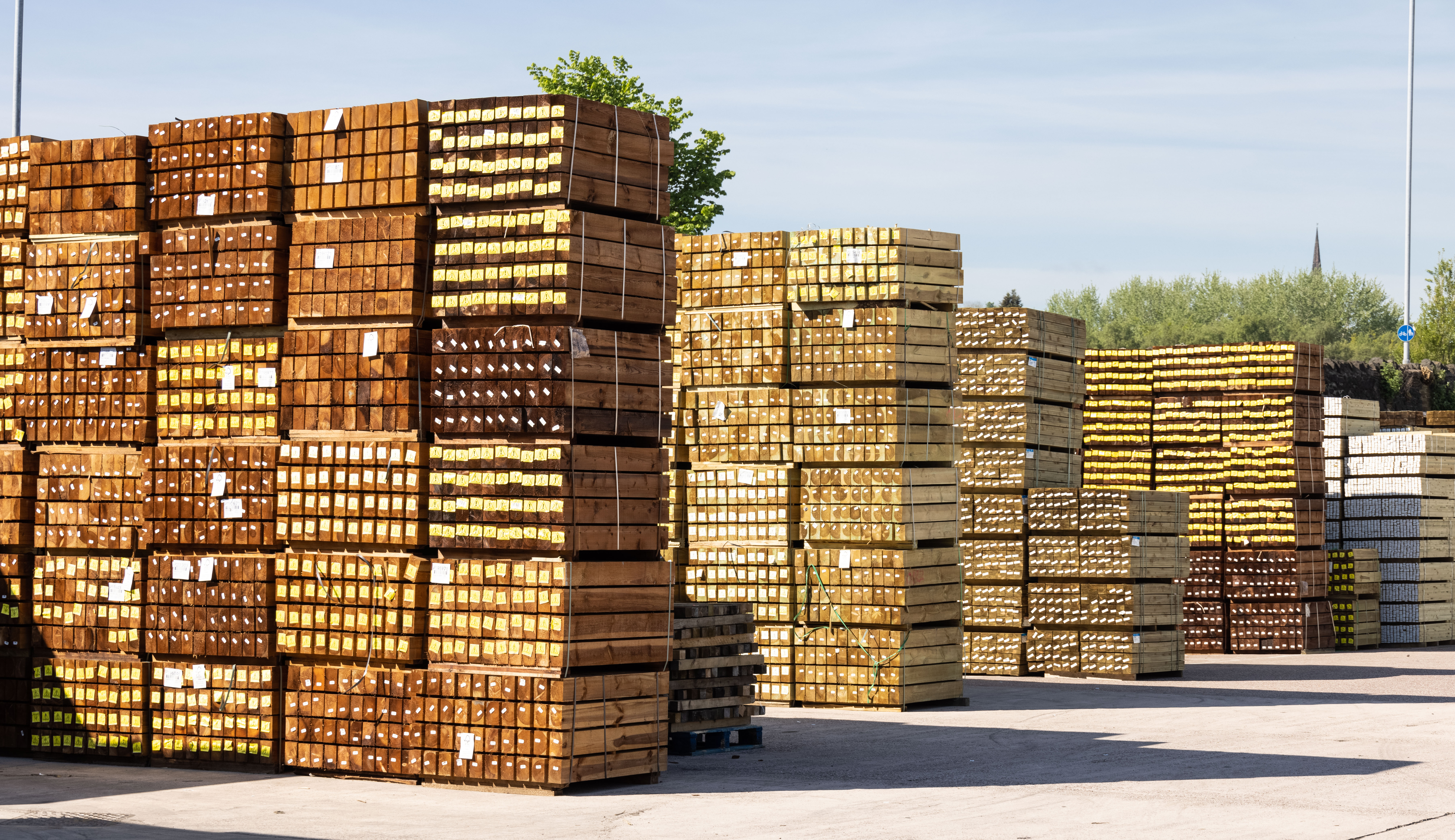 BSW Timber Solutions commits to reducing emissions through SBTi process